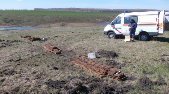 В Воронежской области взрывотехники уничтожили 114 боеприпасов