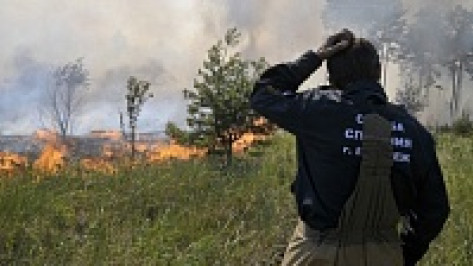 В 17 районах Воронежской области сохранилась высокая пожароопасность