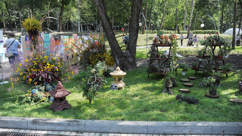 На фестиваль «Город-сад» в Воронеже поступило 118 заявок