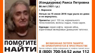 В Воронеже пропала 86-летняя женщина