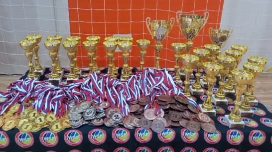 Хохольские каратисты взяли 58 медалей на всероссийском турнире по карате WSF