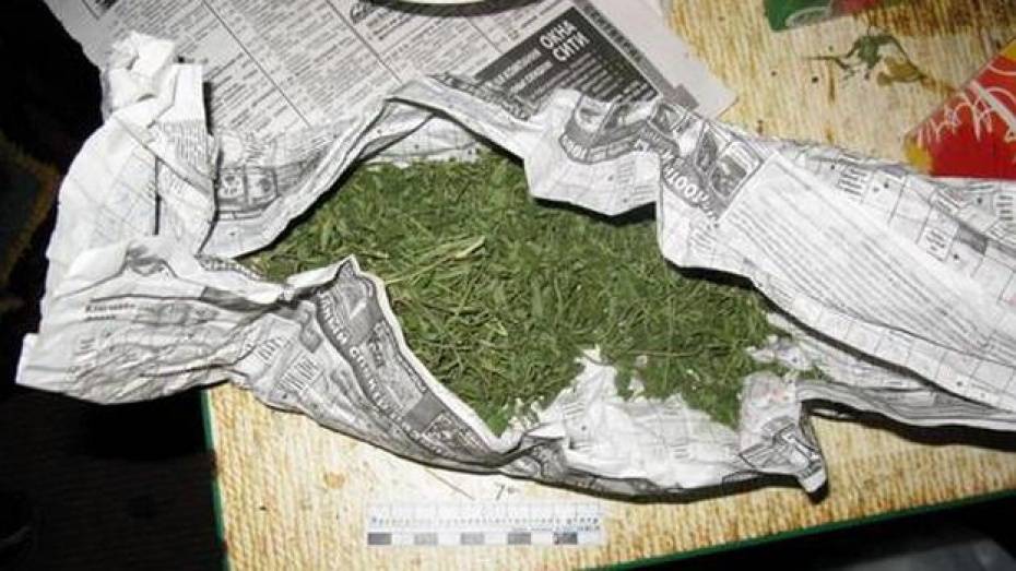 Житель Грибановского района хранил дома около 500 г марихуаны