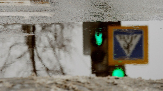 Спасатели предупредили воронежцев о ледяном дожде и гололедице 
