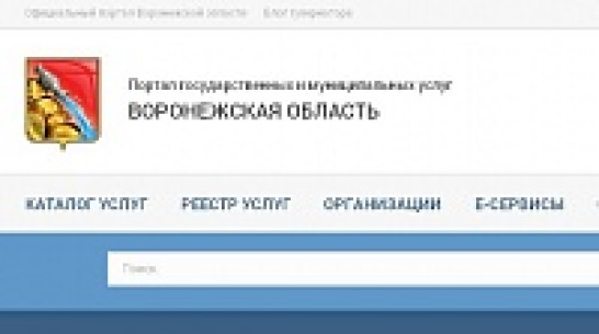 Жители Воронежской области смогут самостоятельно «отслеживать» необходимые документы на портале госуслуг