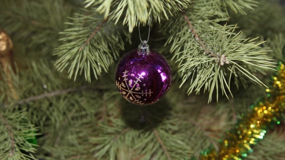 Воронежцам предложили обменять новогодние елки на подставки для кружек