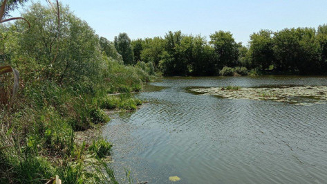 В Воронежской области утвердили береговую линию озера Круглое