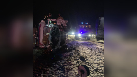 Под Воронежем 42-летний мужчина погиб при столкновении микроавтобуса и грузовика