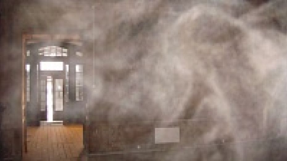 Рамонские архитекторы встретились с привидением во дворце Ольденбургских