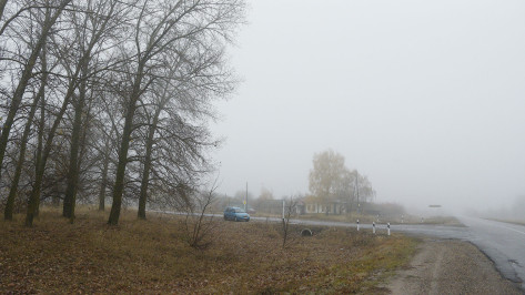 Ночью на Воронежскую область опустится туман