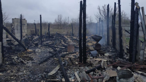 Более 100 животных погибли в ночном пожаре в Воронежской области