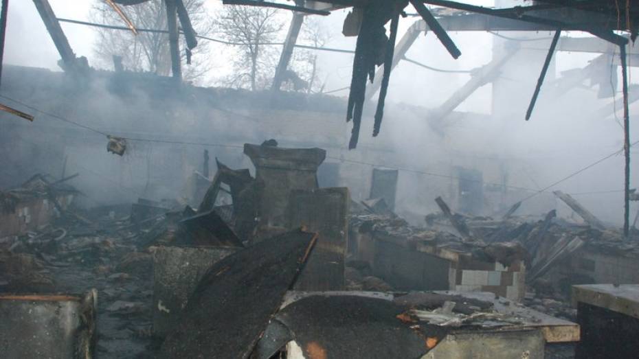 В Воронежской области на пожаре погиб 19-летний внук хозяйки дома