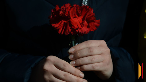 Останки 36 уроженцев Воронежской области, погибших в 1942 году, обнаружили поисковики