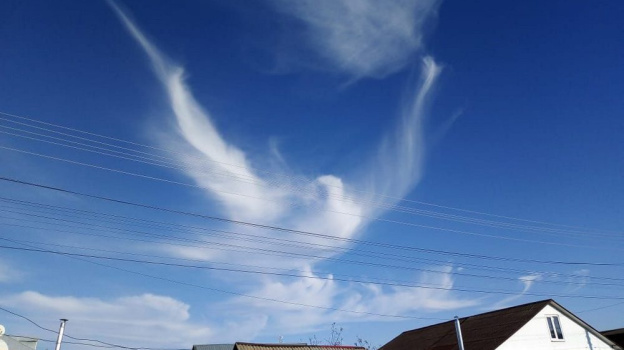 Второклассник из Павловского района сфотографировал облако в виде голубя