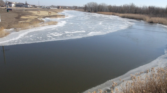 Житель Богучара спас двух четырехлетних детей, провалившихся под лед