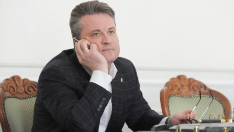 Мэр Воронежа отчитался о доходах за 2017 год