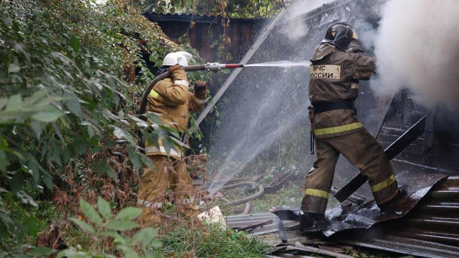 В Воронежской области дедушка и его 2-летний внук погибли при пожаре в доме