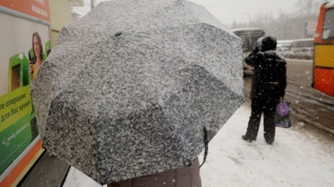 Воронеж занесет мокрым снегом