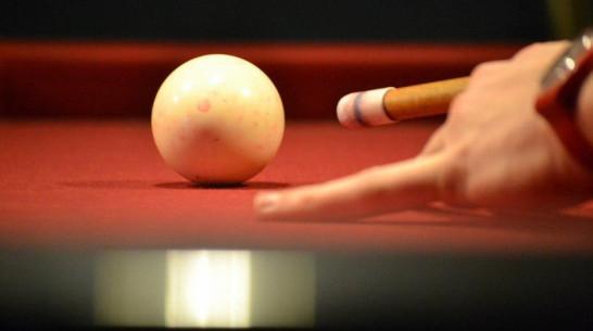 Представители Воронежской области стали призерами чемпионата России по бильярдному спорту