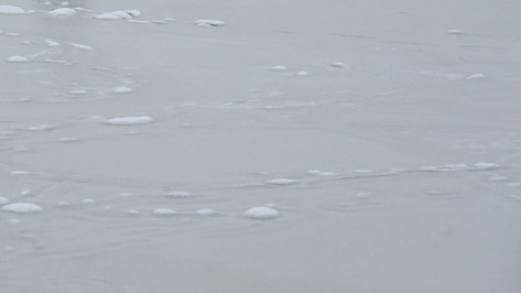 Воронежцы сообщили о маленьких детях, выходящих на опасный лед водохранилища