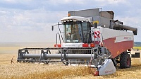 Аграрии Воронежской области получат компенсации из федерального бюджета на сумму более 340 млн рублей 