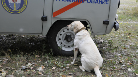 В Воронежской области оцепили банк из-за ложного сообщения о минировании