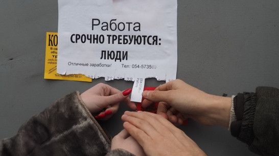 Официально безработных воронежцев за неделю стало на 2,5 тыс меньше