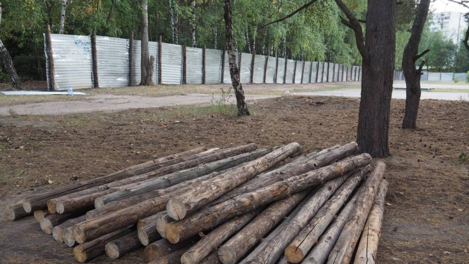 В воронежском парке «Танаис» снесли 12 незаконных киосков
