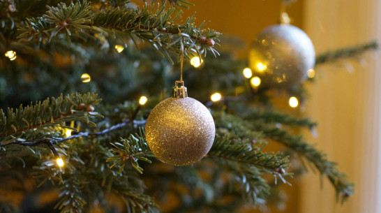 Пустят ли родителей на новогодние утренники в детские сады Воронежа