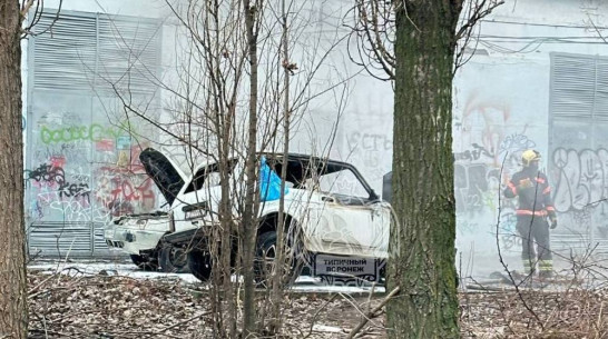 Воронежцы сняли на видео горящие машины на улице Владимира Невского