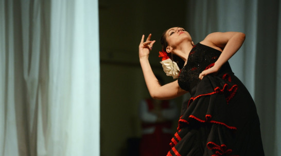 Фото РИА «Воронеж». Общероссийский фестиваль фламенко