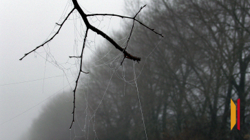 Воронежцев предупредили о тумане и сильном дожде