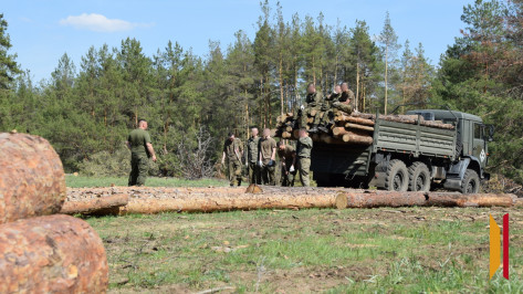 Жители Петропавловского района заготовили древесину для бойцов СВО