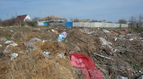Суд обязал администрацию Верхнемамонского сельского поселения очистить от мусора берега Дона