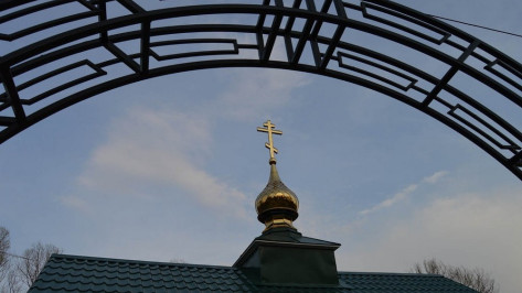 В Нижнедевицке на крыше купели установили купол