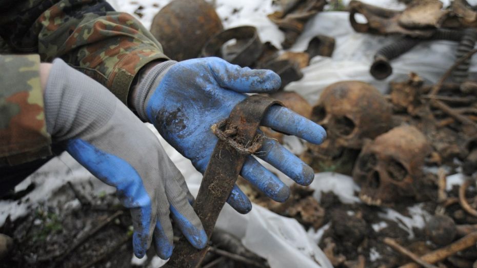  Поисковики обнаружили в Воронежской области более 200 погибших узников немецких лагерей