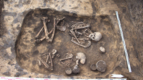 В Воронежской области археологи нашли 28 древних погребений