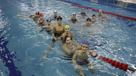 Аннинские пловцы завоевали 6 золотых медалей на «Новогодних стартах»