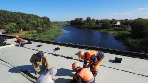 Мост через реку Потудань в Воронежской области отремонтируют в течение года