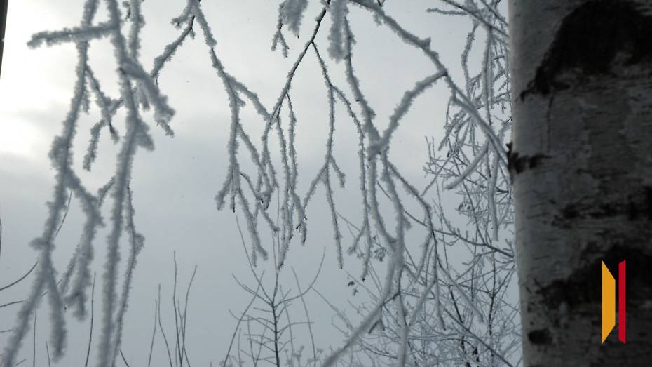 Туман вновь вернется в Воронежскую область