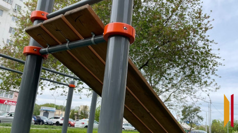 Вандализм на спортивной площадке в Воронеже попал на видео