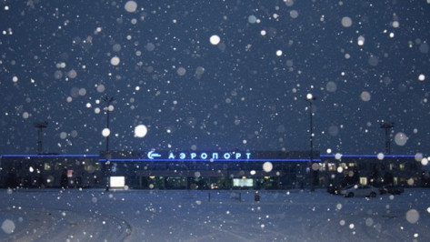 Воронежцы стали чаще летать на отдых в новогодние праздники