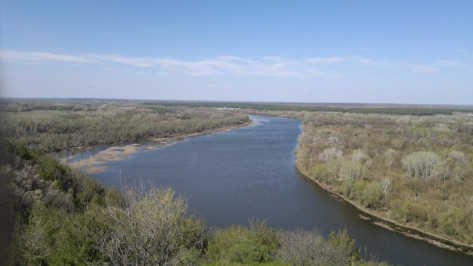 В Воронежской области нашли тело в реке Дон