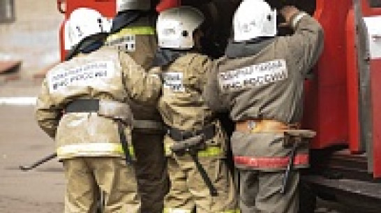 В Семилуках из-за неосторожного обращения с огнем загорелась частная пилорама