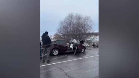 В Воронежской области произошло ужасное смертельное лобовое ДТП со Skoda и фурой