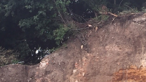 Историк: в Воронеже на месте древних артефактов без разрешения начали строительные работы 