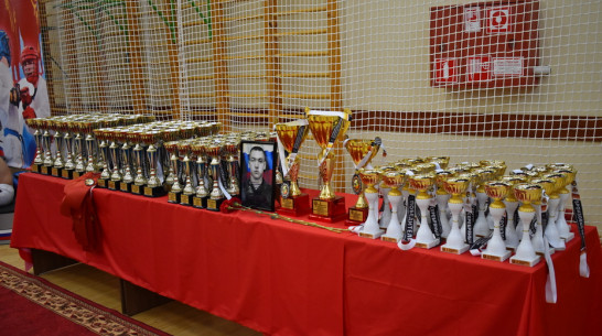Борисоглебцы выиграли 10 золотых медалей на турнире по армейскому рукопашному бою