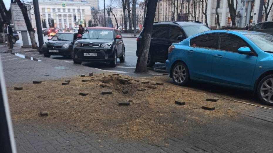 Тротуар взорвался на улице Плехановской в Воронеже