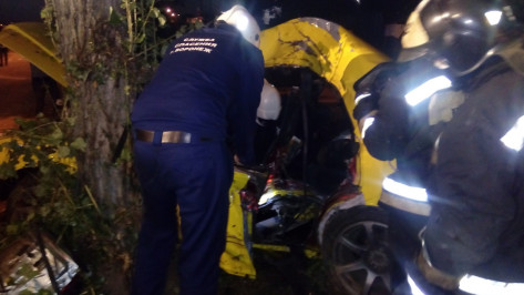 В Воронеже Toyota врезалась в дерево: пострадали 3 человека