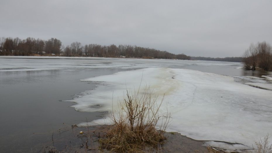 Умер воронежский рыбак, провалившийся под лед в первый день зимы