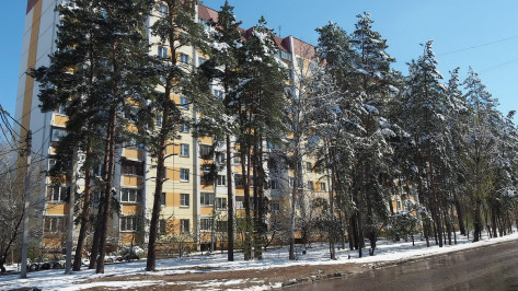 До +7 градусов потеплеет в Воронежской области в конце февраля